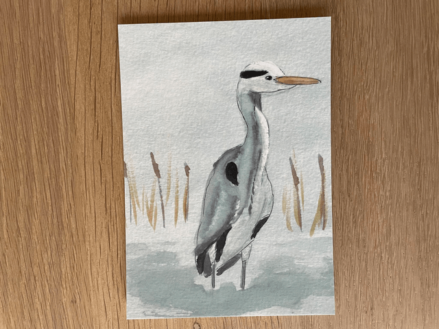 Reiger
